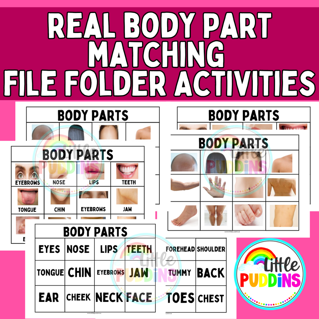 Body Part File Folder Matching Activities
